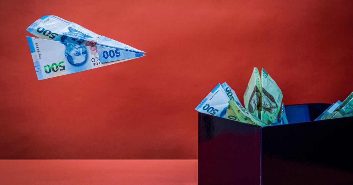 Kamu görevlilerinin faydaları% 46