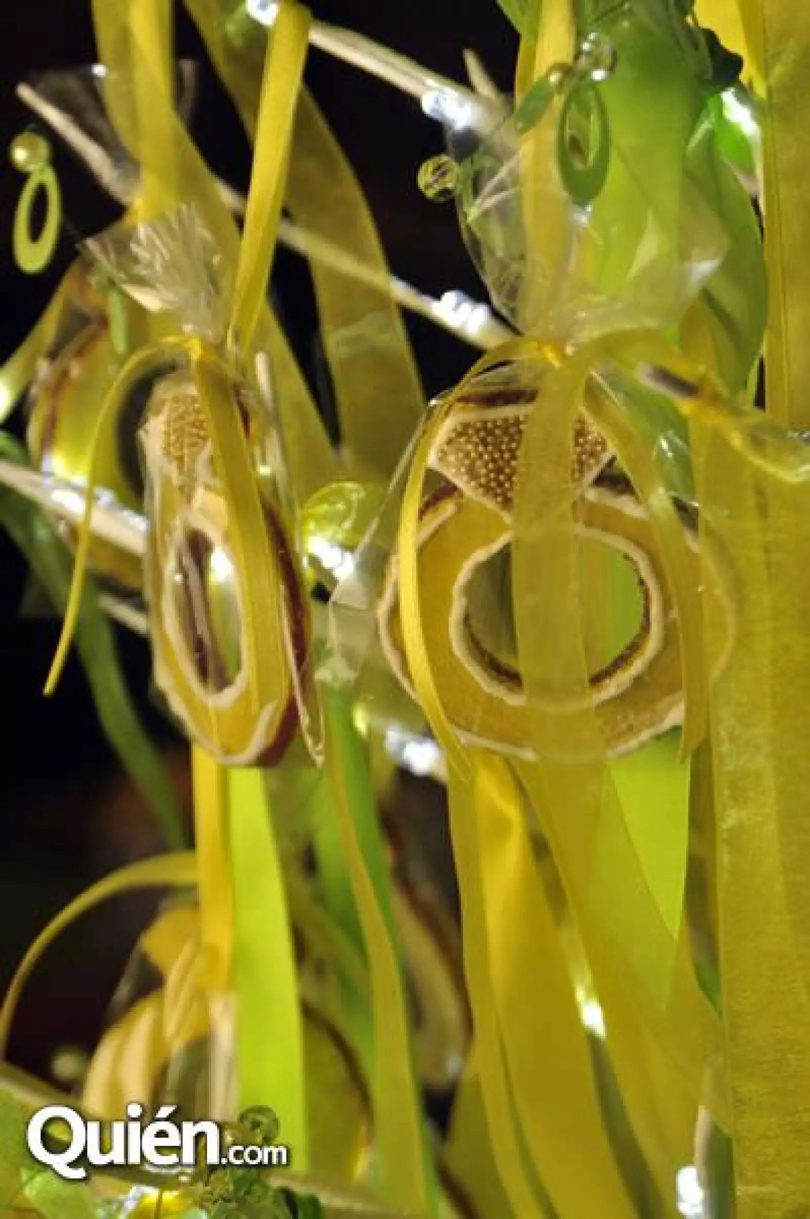 Bienvenida y Fiesta de compromiso