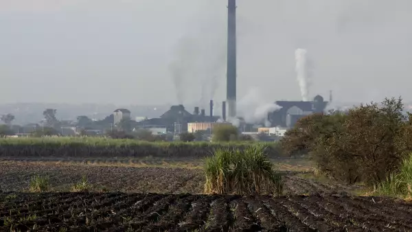 Industria_Azucarera_Can771era-8.jpg