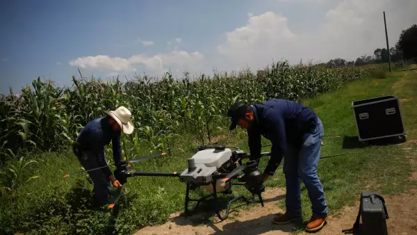 Las telecomunicaciones se vuelven fundamentales para la agricultura.