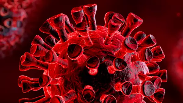 arte_coronavirus.jpg