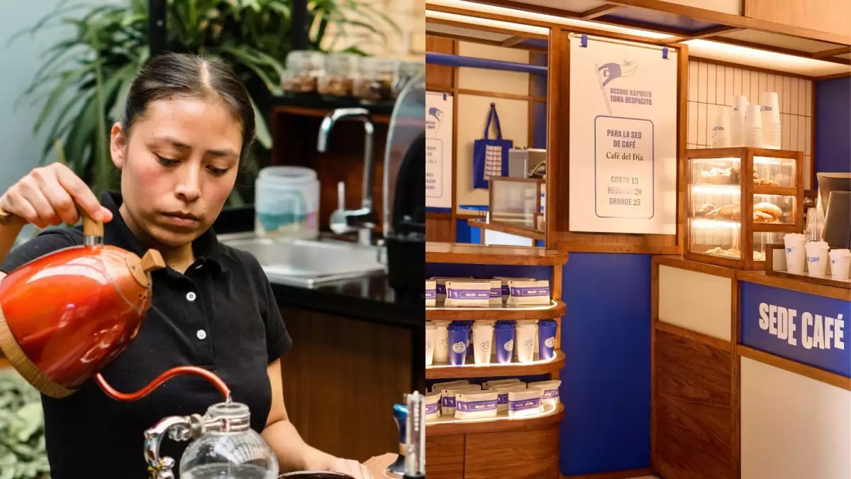 Las cafeterías de CDMX tienen la 'receta' para que consumas más: la respuesta está en la neuroarquitectura