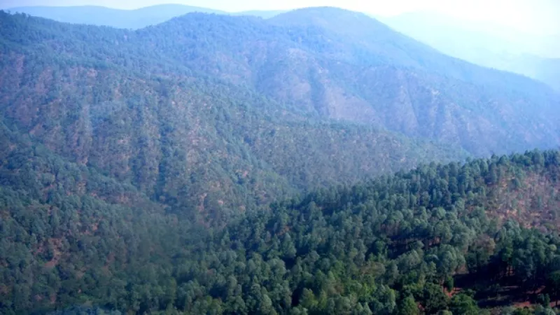 Ejército narco Guerrero