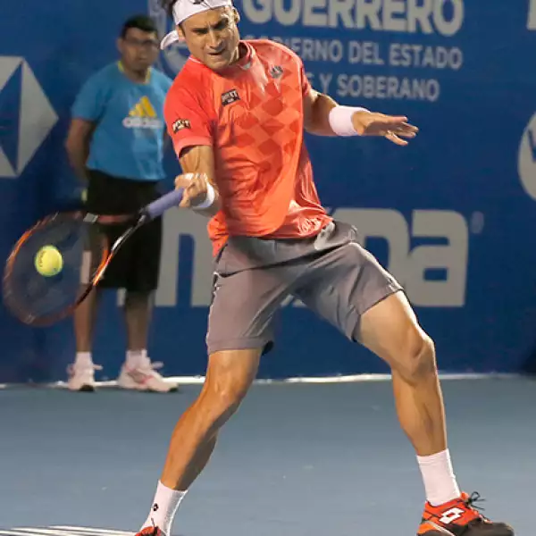 David Ferrer