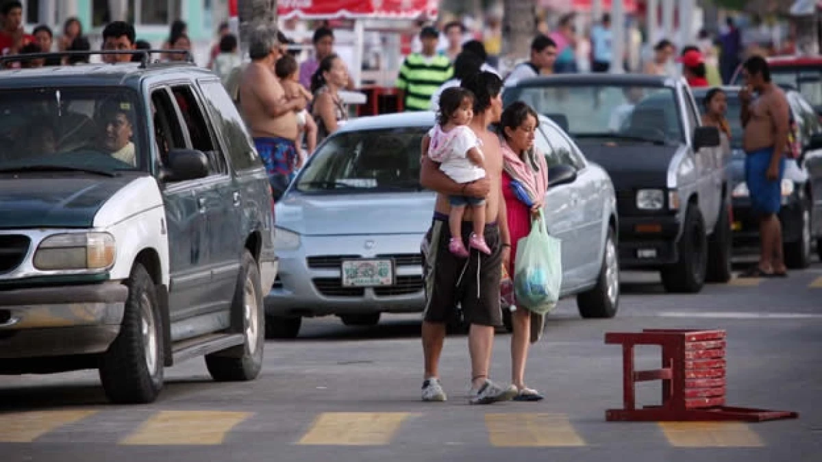 veracruz acuario artefacto explosivo