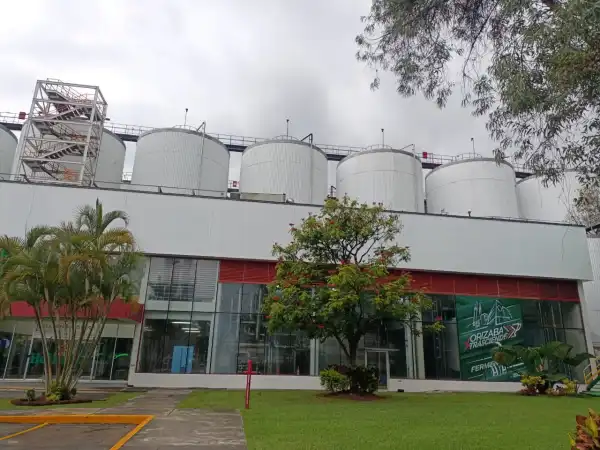 Cinco tanques en forma de cilindro arriba de un área verde .jpeg