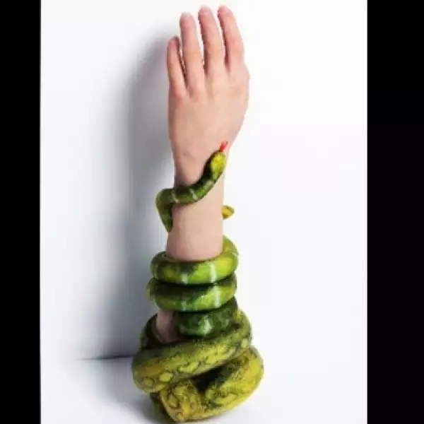 alternative-limb-project-10