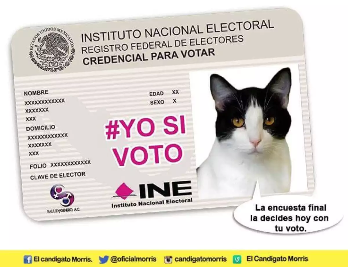 Humor