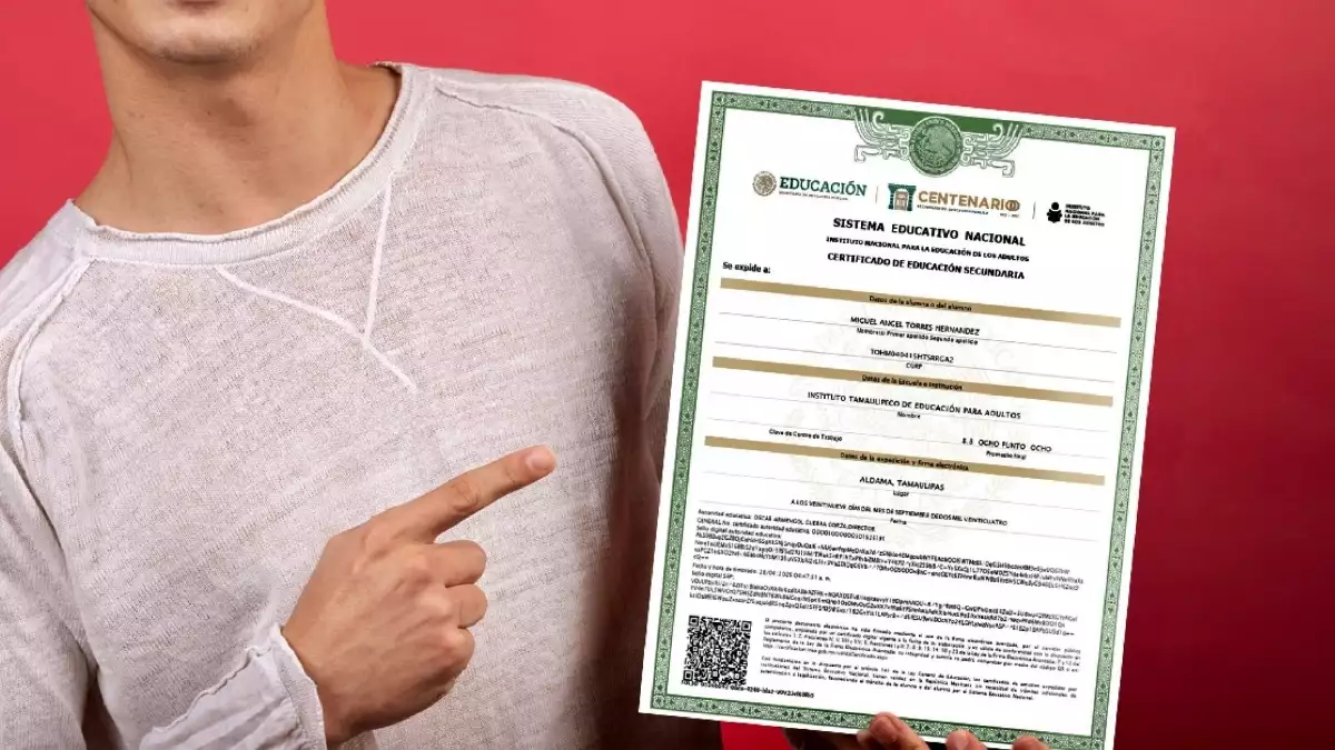 Cómo descargar el certificado de la SEP de primaria y secundaria en CDMX