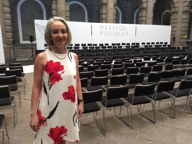 Gabriela Hernández es vocera de Méxicos Posibles y forma parte del equipo negociador del TLCAN.