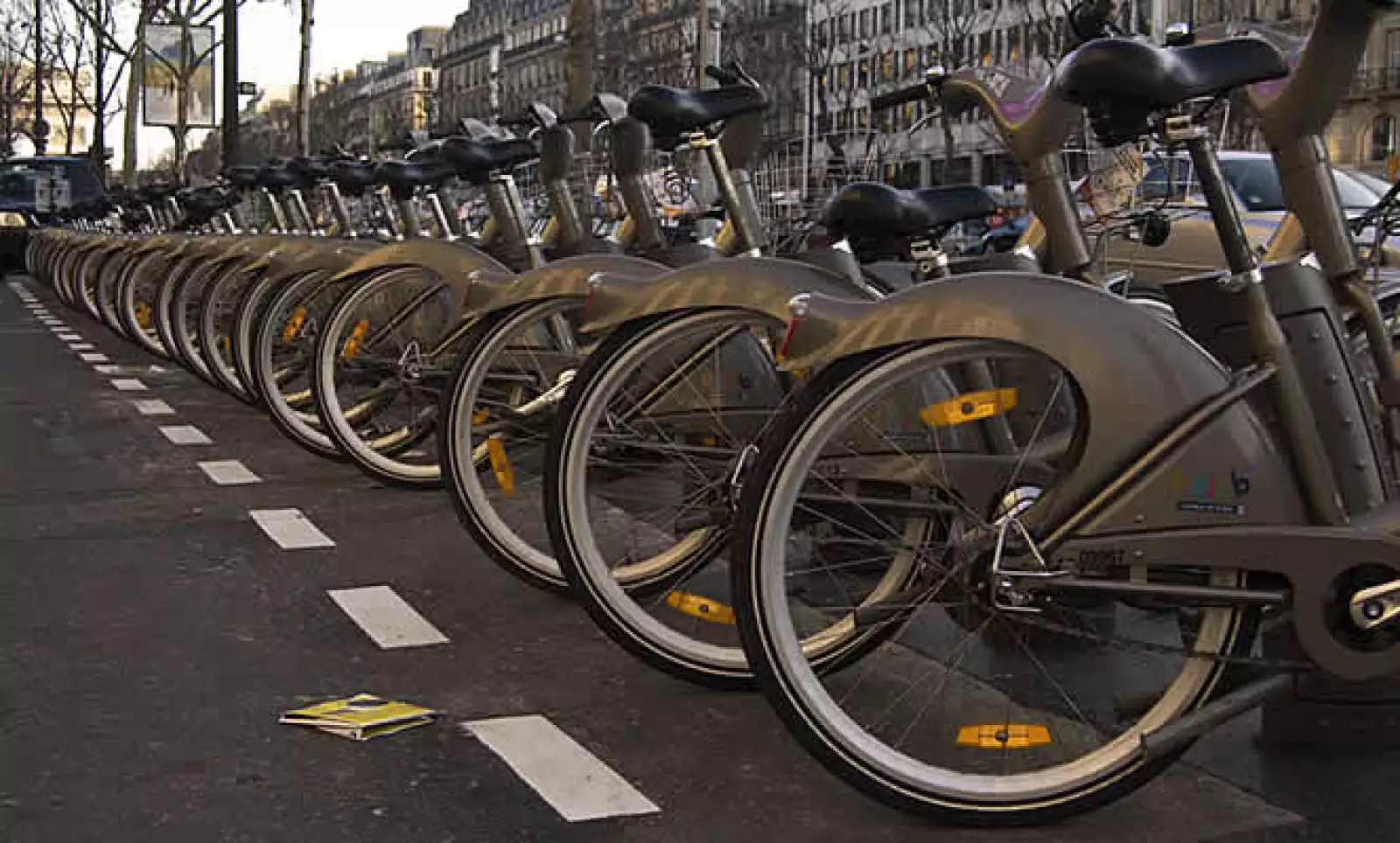 Convencido de que el mundo fue escrito con el lenguaje de las Matemáticas, Neme busca descifrarlo a través de la lente de su cámara fotográfica.