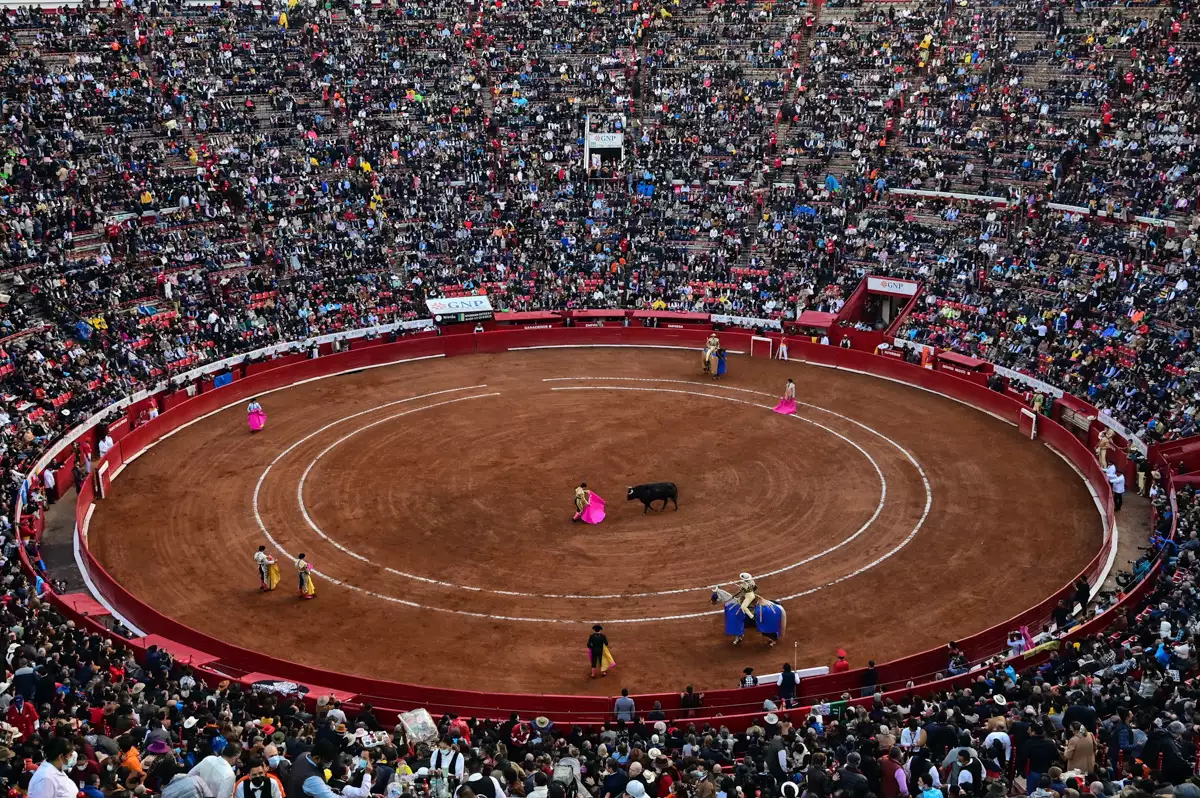 (Corrida de toros en la plaza México)