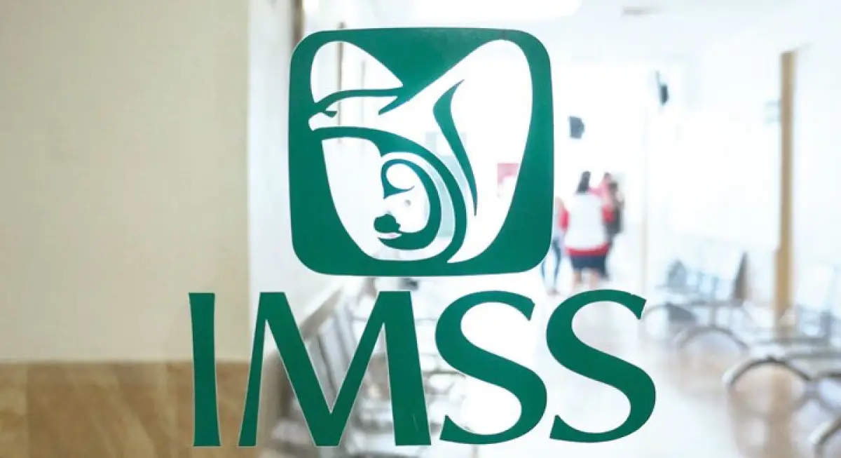 IMSS-trabajadores-independientes.png