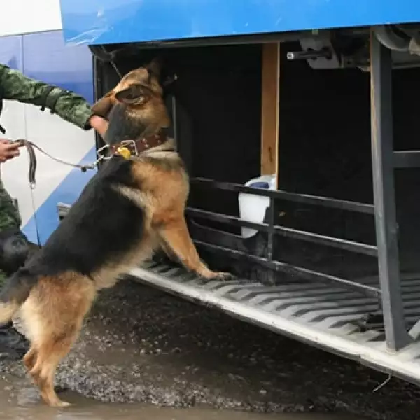 Ejército San Fernando Tamaulipas