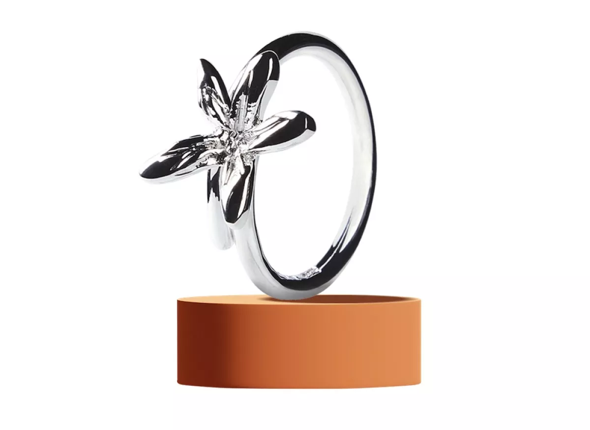 Anillo Tane 