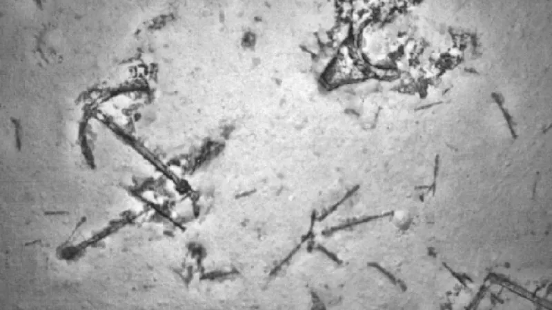 mh370 barco antiguo ancla