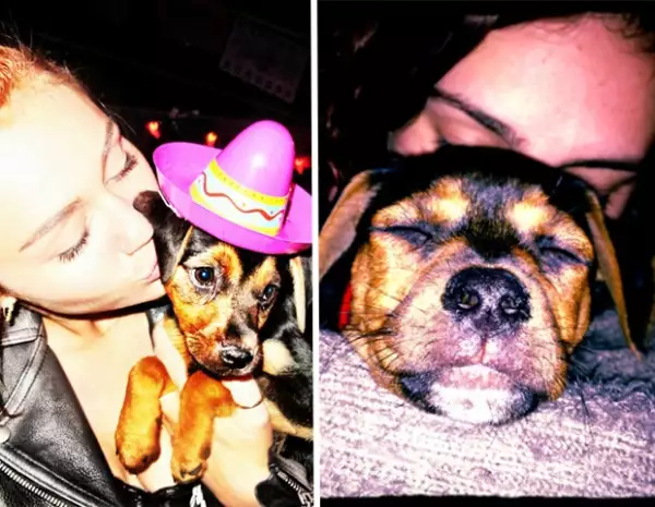 Miley y Rumer adoptaron a uno de los cachorros abandonados.
