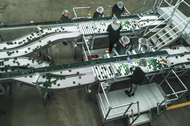 Adecco y Manpower, empresas de recursos humanos en México