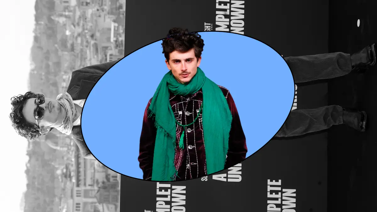timothee chalamet bufandas