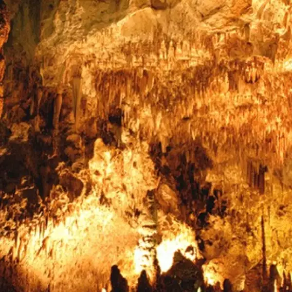 Cavernas de Carlsbad Nuevo Mexico