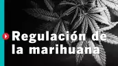 #QuéPasóCon la regulación de la marihuana?