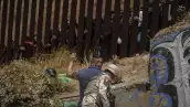 migrantes