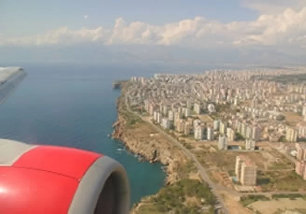 El Airbus A320 utiliza un biocombustible hecho con plantas como la jatropha, algas y alófitas. (Foto: SXC)