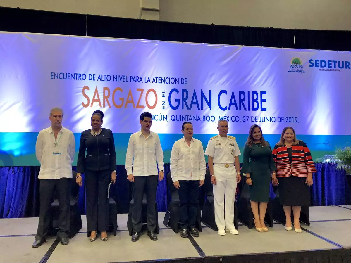sargazo cumbre