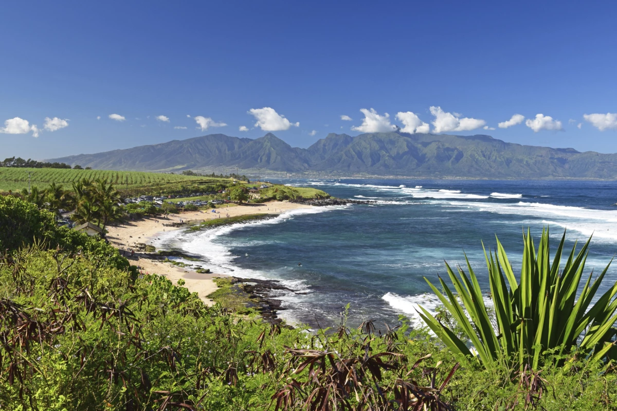 La isla pasó del segundo al primer puesto en un año en los premios de TripAdvisor.