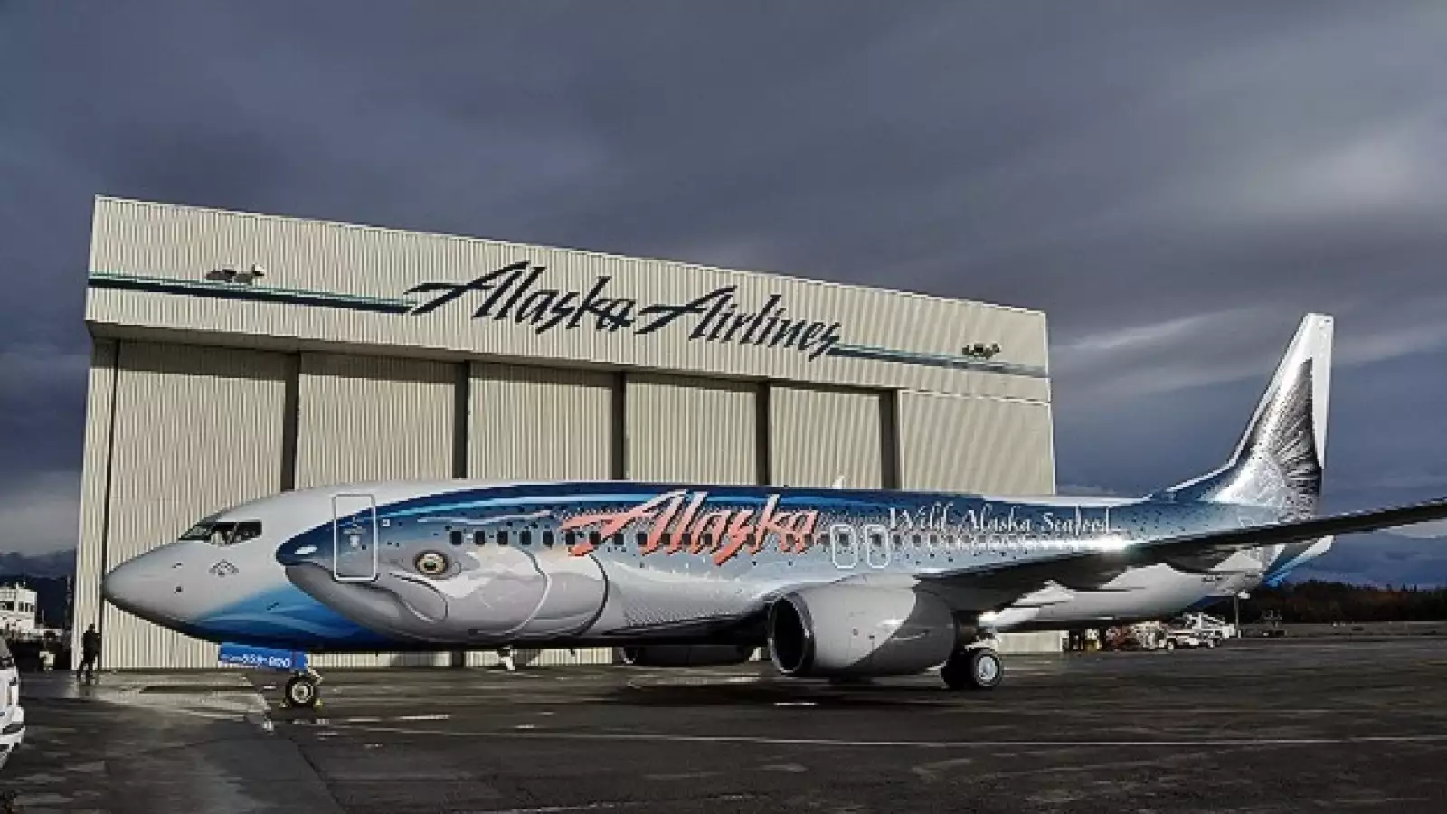 aviones diseños llamativos 1