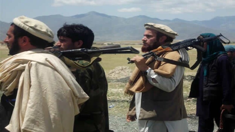 Talibanes