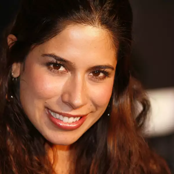 Premier el libro de piedra