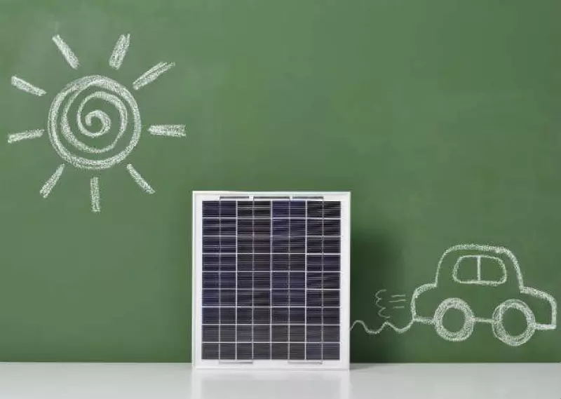 Sinuoso camino verde