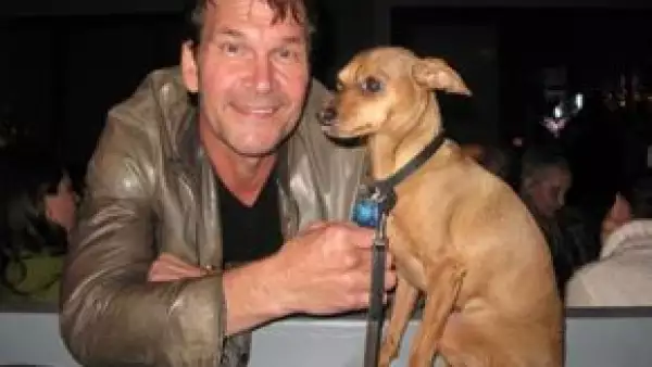 El actor abandonó la quimioterapia y cualquier otro tipo de tratamiento, luego de que los doctores le informaran que ya no se podía hacer nada para evitar que la enfermedad se siguiera propagando.