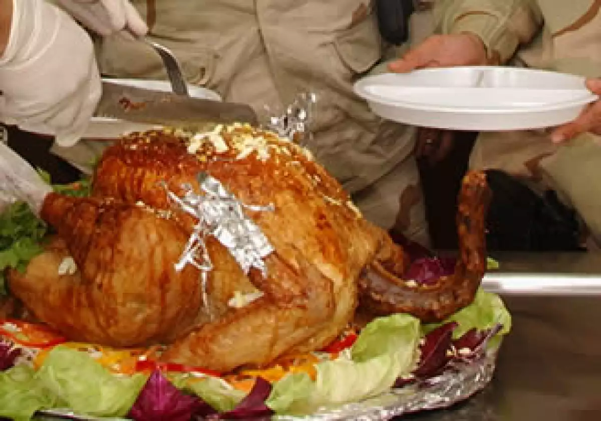 Estados Unidos produce 2.8 millones de toneladas anuales de pavo; México menos de 15 mil toneladas. (Foto: Archivo)