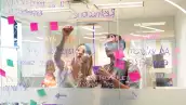 universidad derecho en mexico las mas caras y privadas