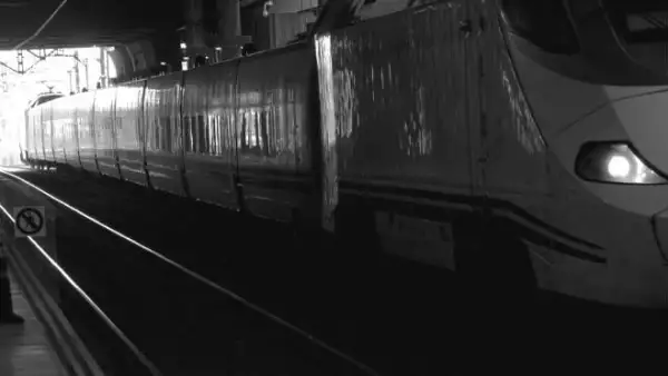 Tren transoce�nico