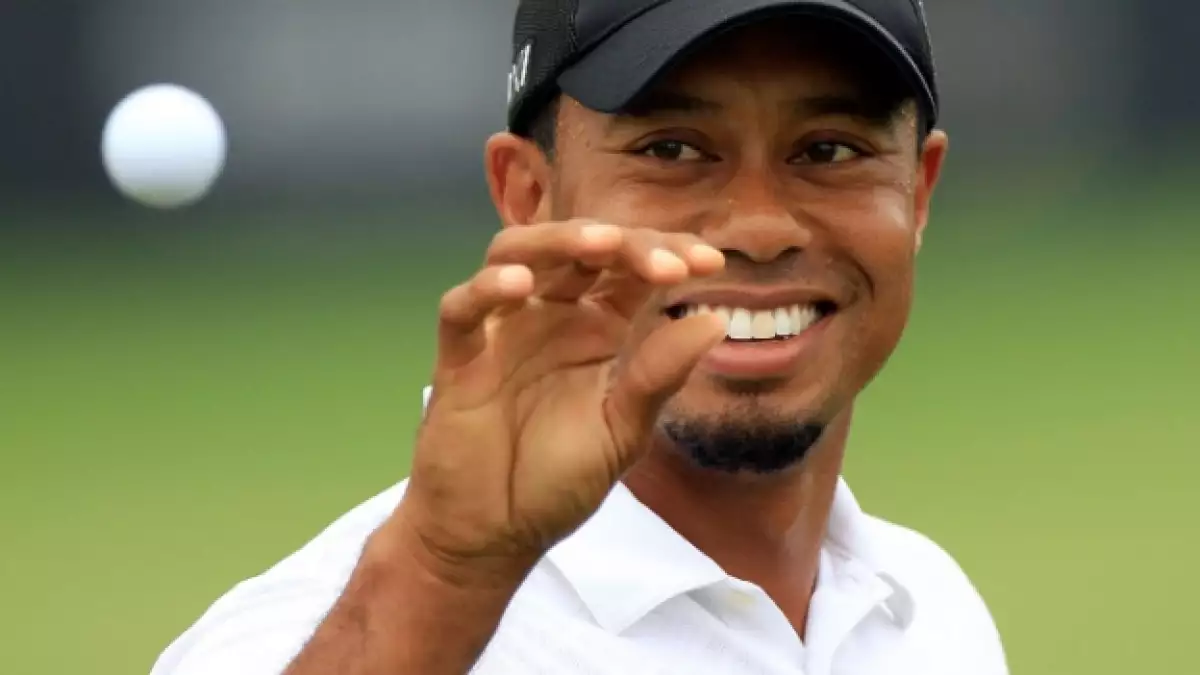 tiger