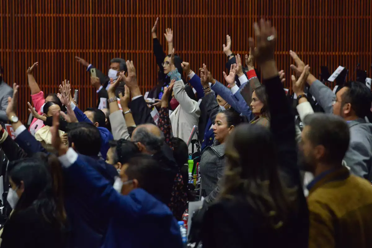 (Sesión ordinaria de la Cámara de Diputados)