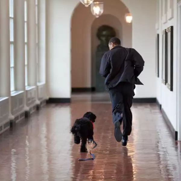 Obama corre junto al perro de la familia, Bo.