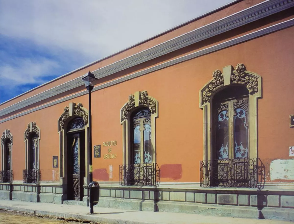 Universidades en crisis