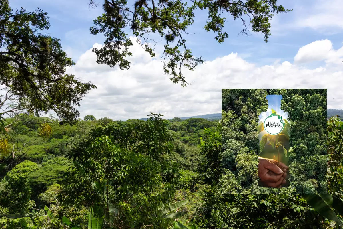herbal-essences.jpg