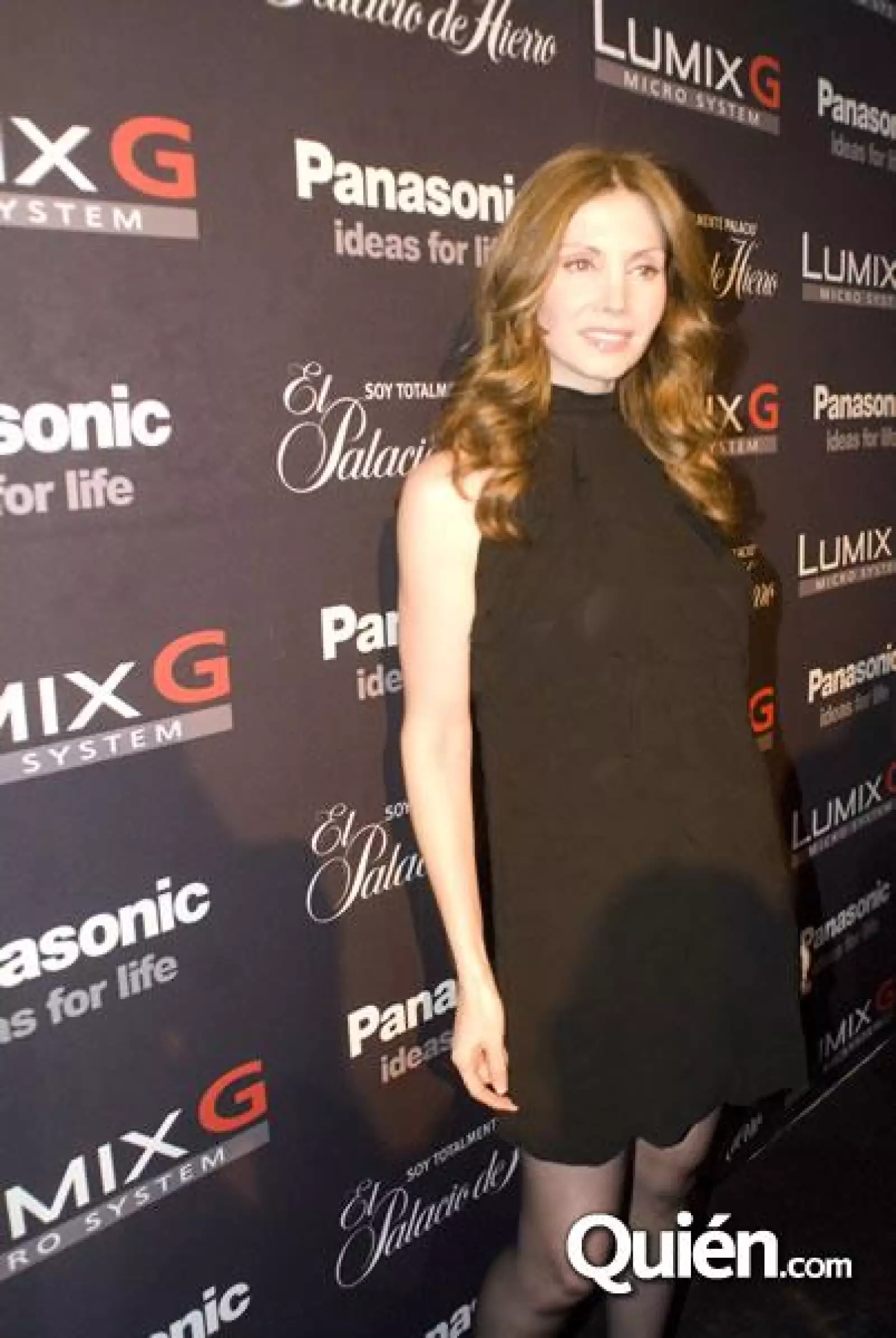 Panasonic y Palacio de Hierro