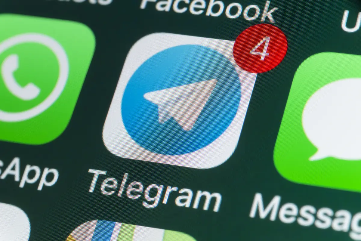Telegram-Brasil