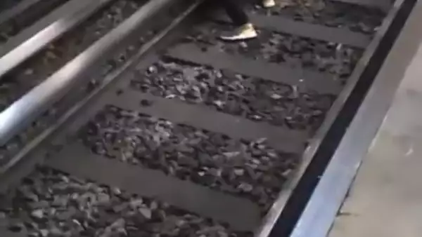 image_6483441 (2).JPG