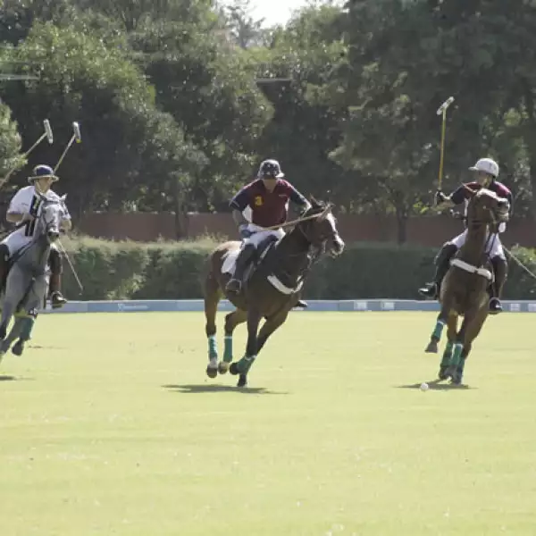 Torneo de Polo