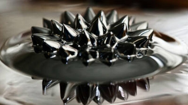 concurso fotografia arte en la ciencia flor campo magnetico