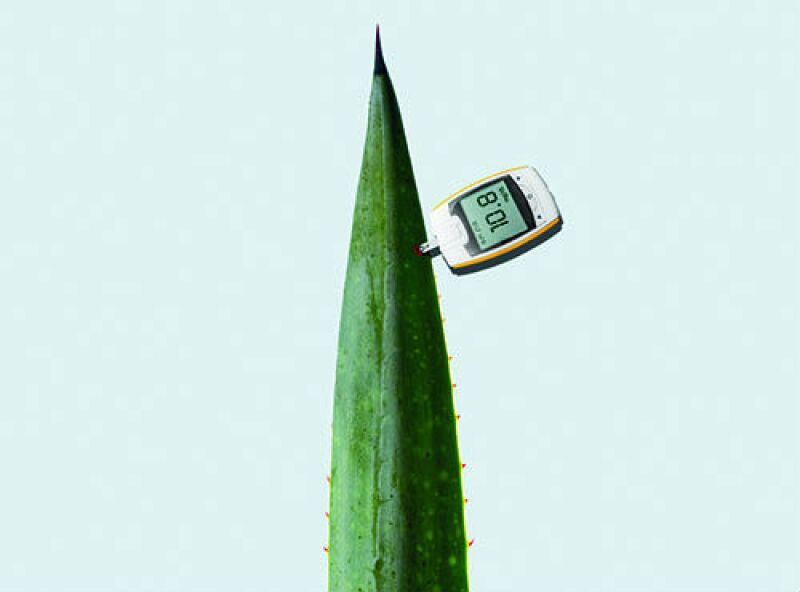 Tequila transgénico