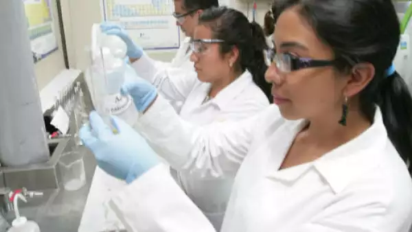 investigadores del IPN