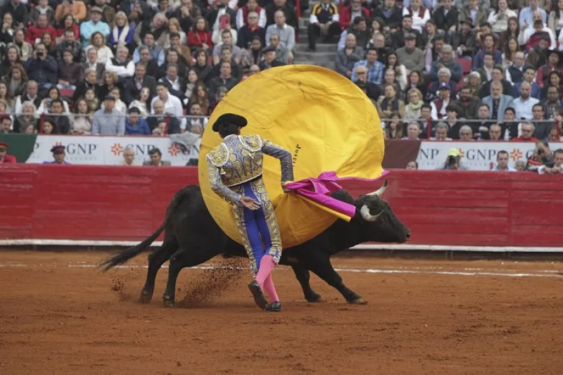Un juez dio suspensión a la corrida de toros en Plaza México. (Torero en una corrida). 